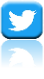 Twitter Logo